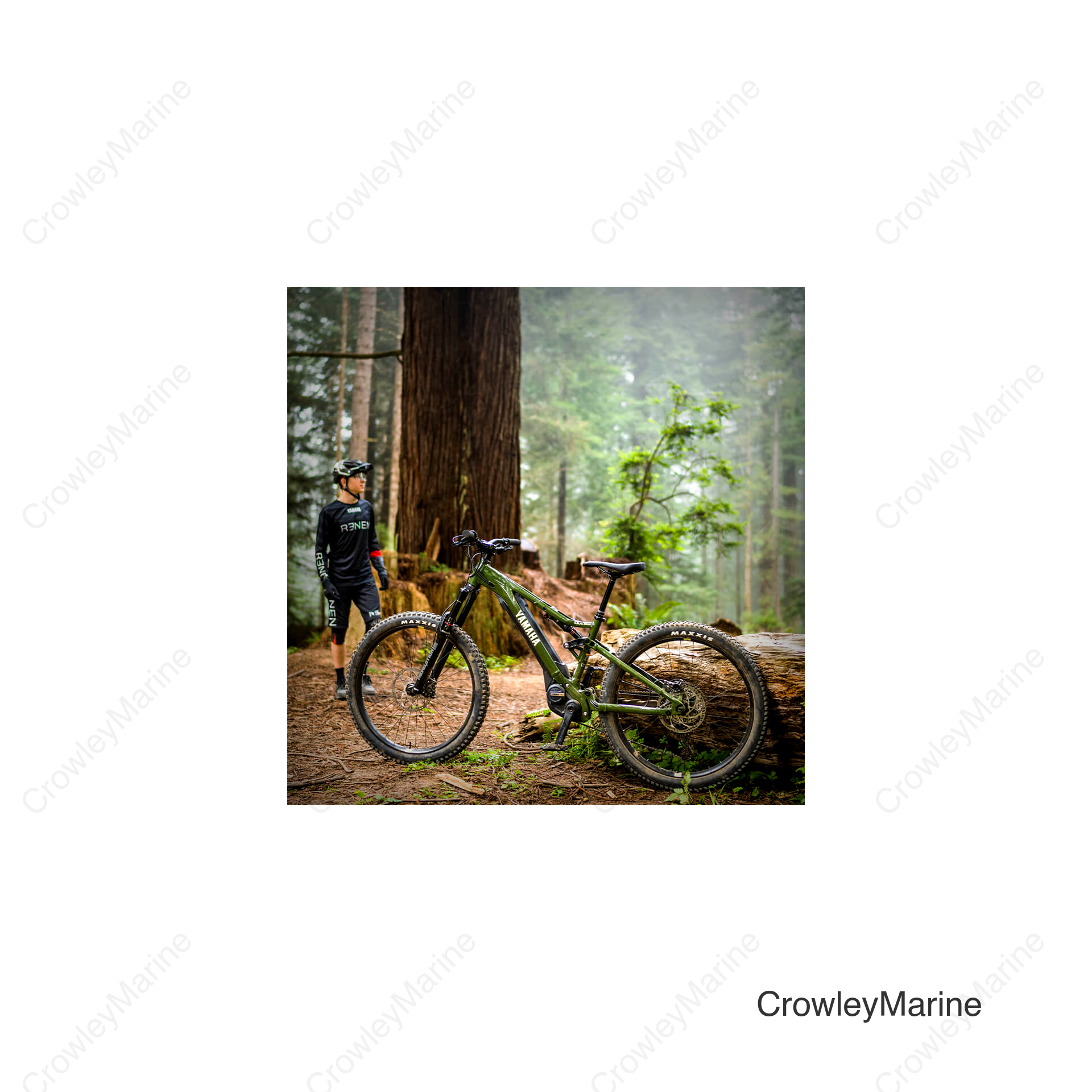 YDX-MORO 05 Forest Green - Medium