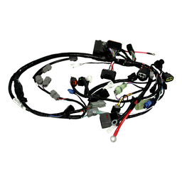 HARNESS ASSY,WI
