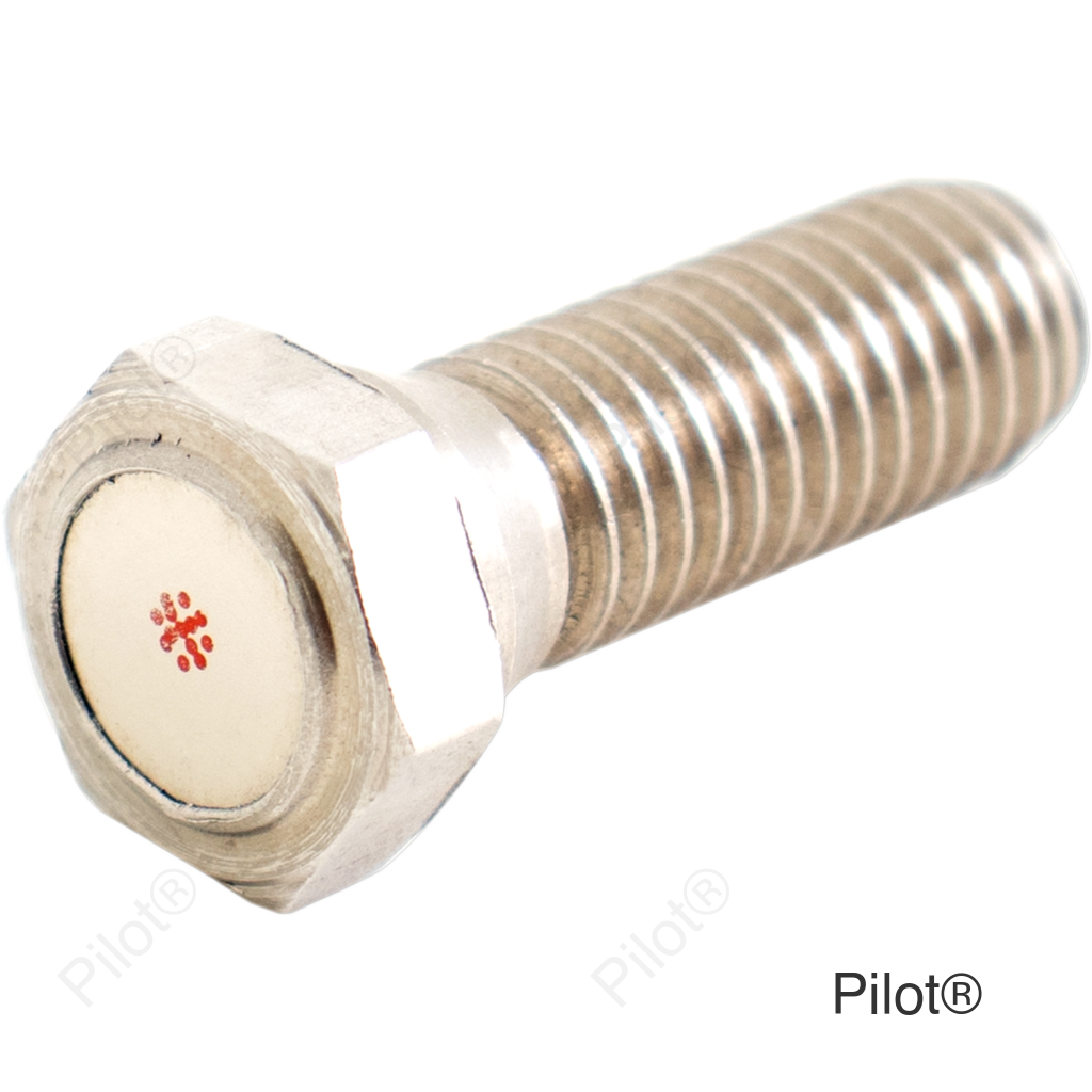 Speed Sensor Magnet Bolt - M6 x P1.1 x 12.6 mm L