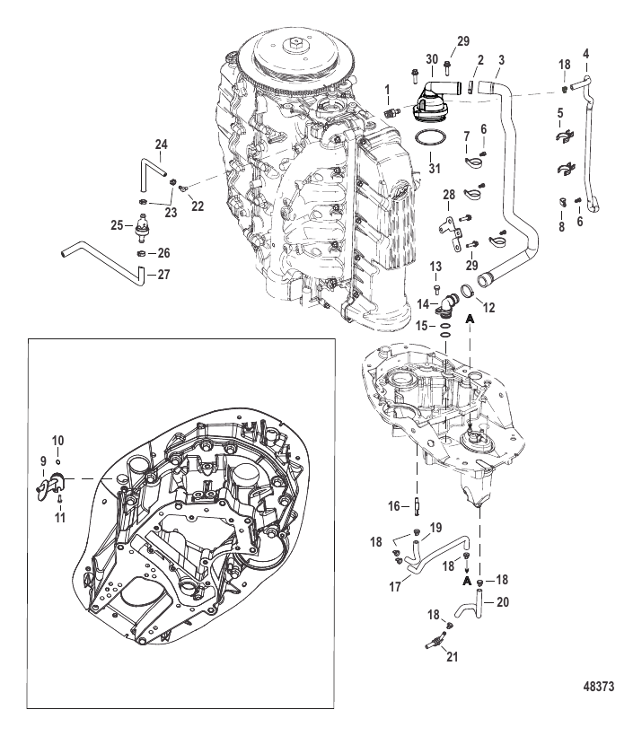 Serial Range Outboard 135 EFI (4-STROKE) - 2B131942 & Up - Cooling