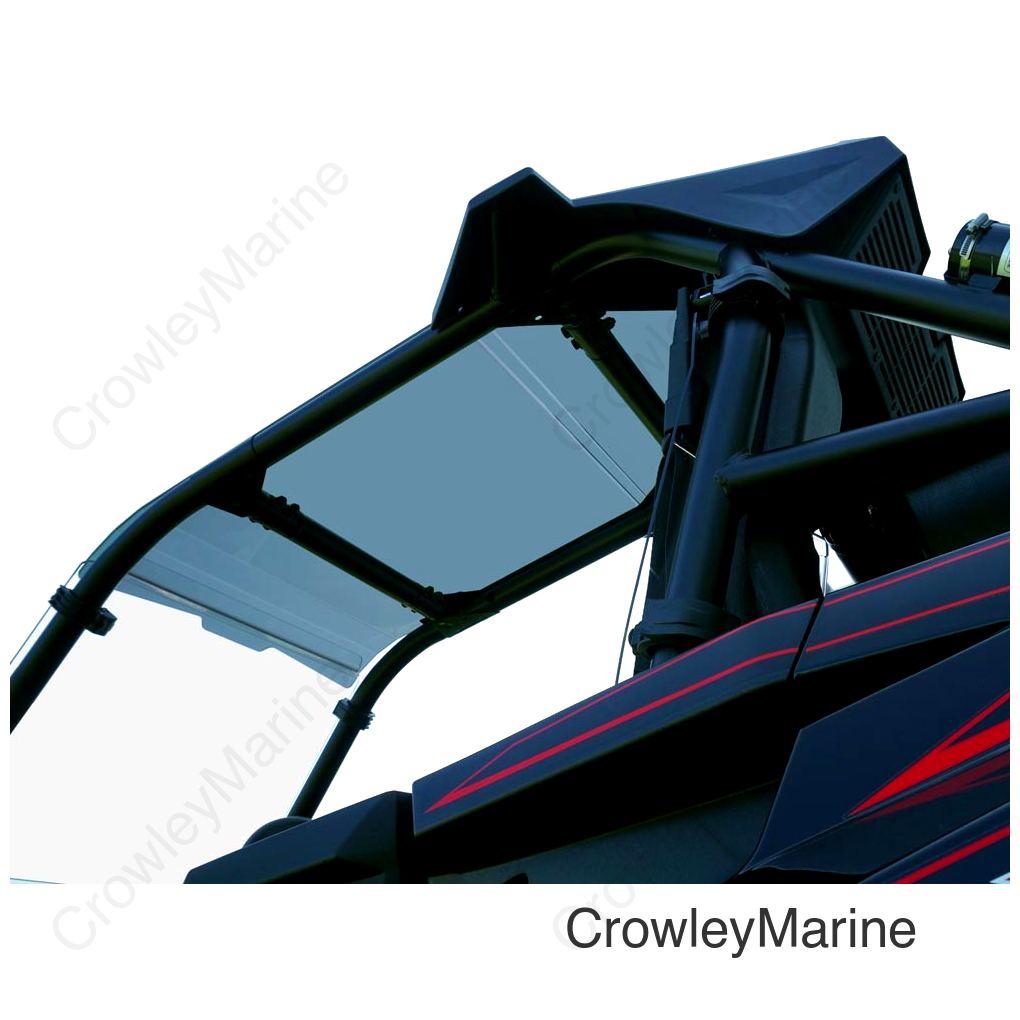 TINTED ROOF POL