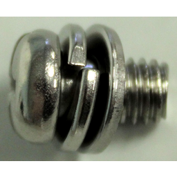 Screw With Washer