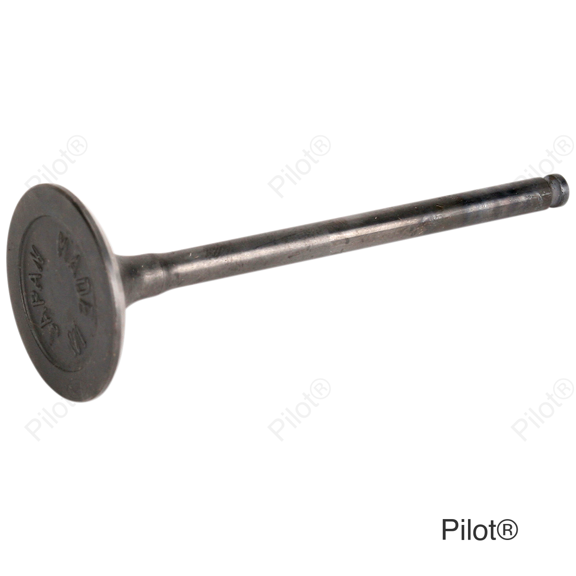 Exhaust Valve