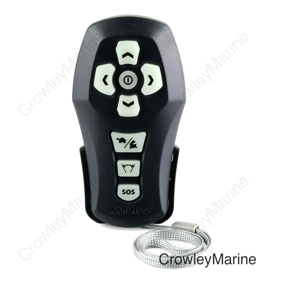 Hand Held Wireless Remote Control