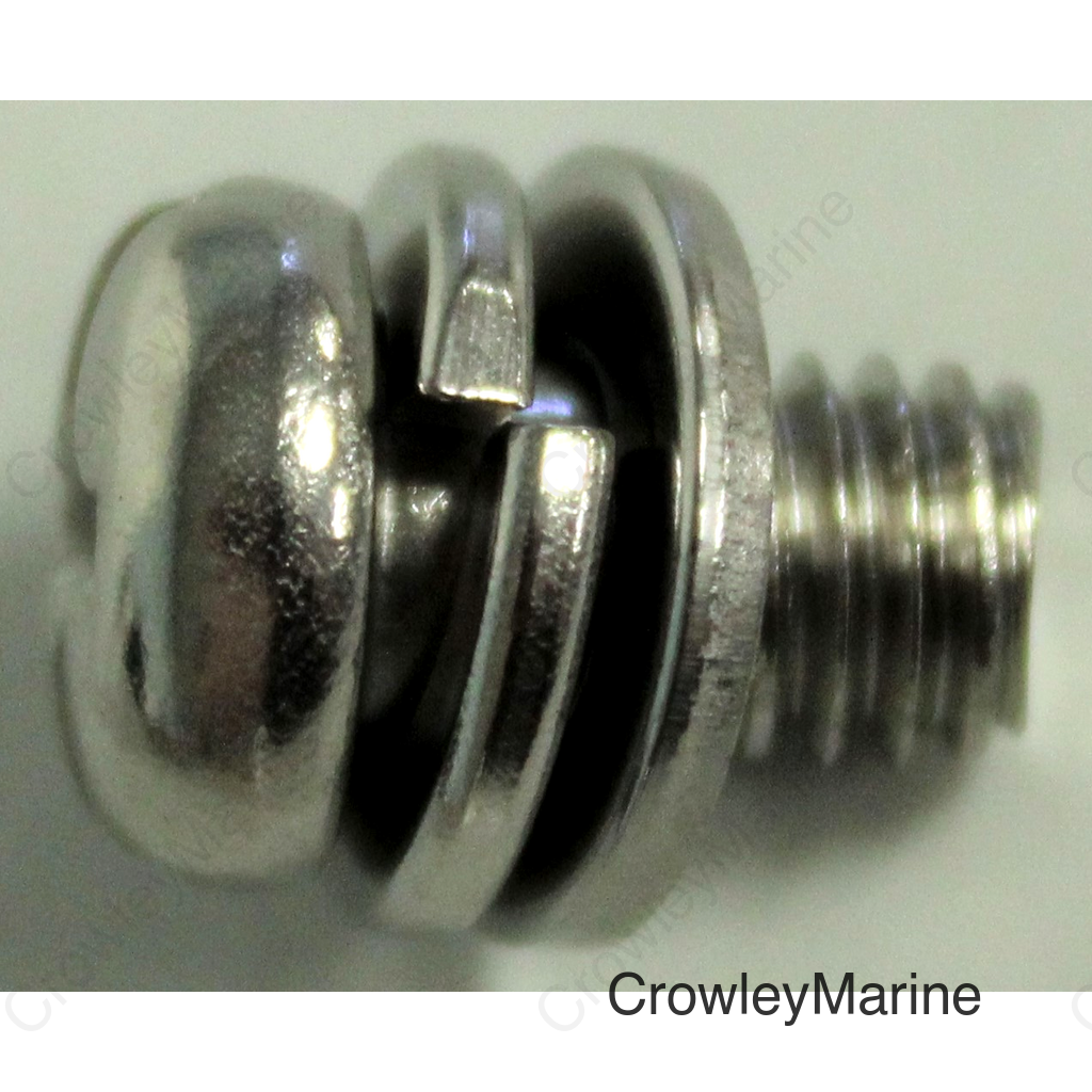 Screw With Washer