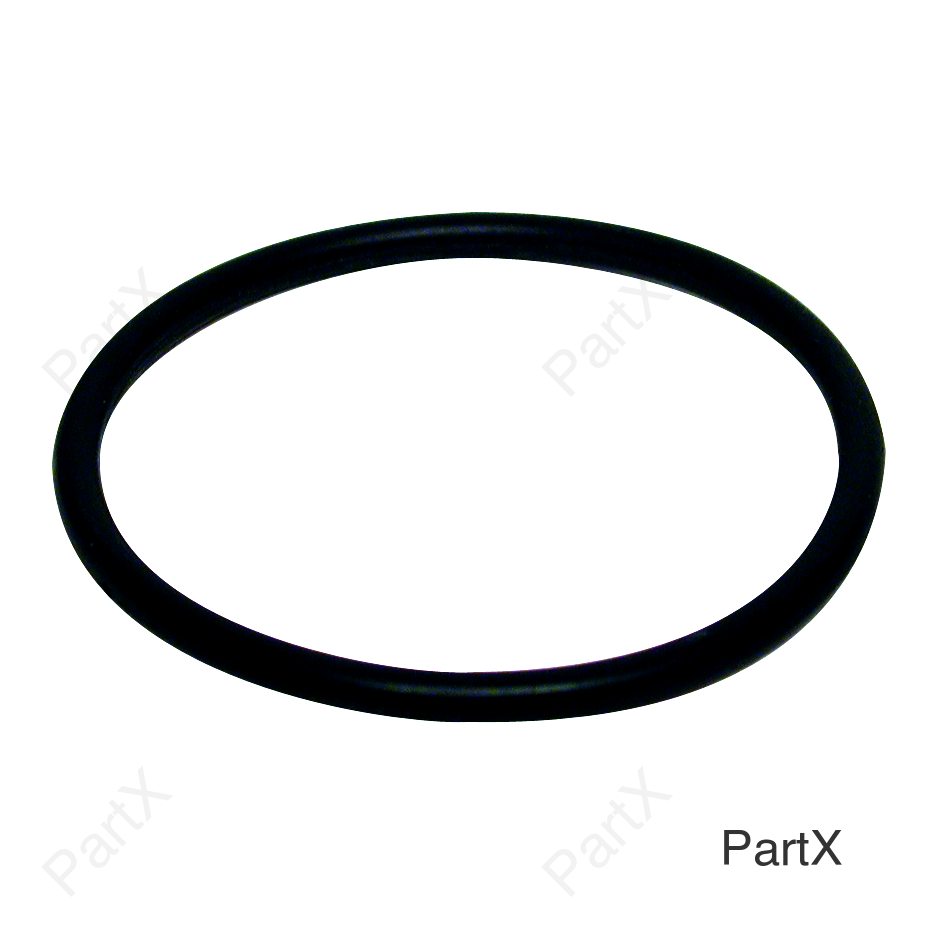 O-Ring (81290)