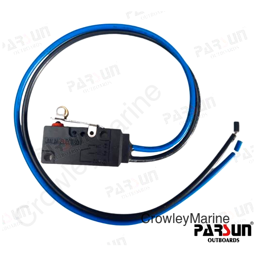 MICRO SWITCH