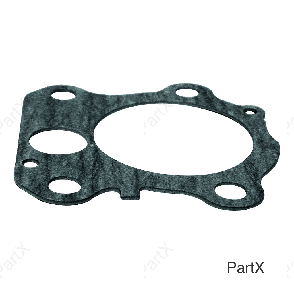 Gasket (38004)