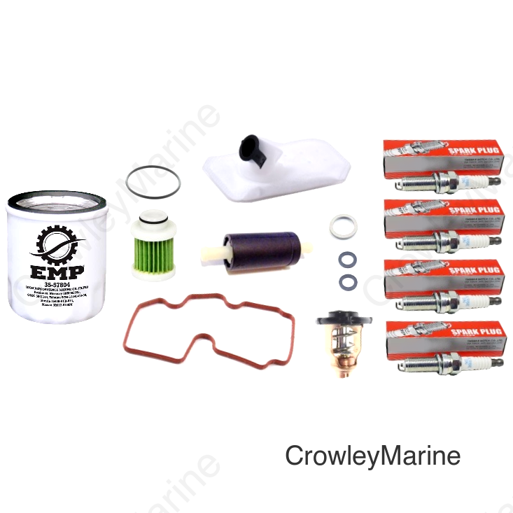 Service Kit, 100 Hour Basic 