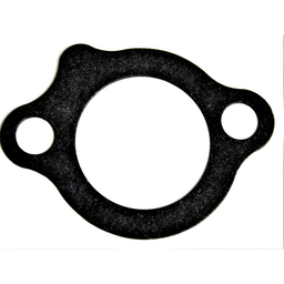 Tank Cap Gasket