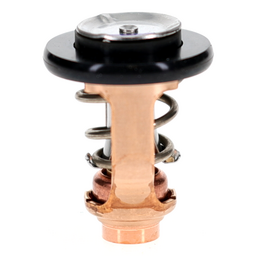 THERMOSTAT thumbnail-7