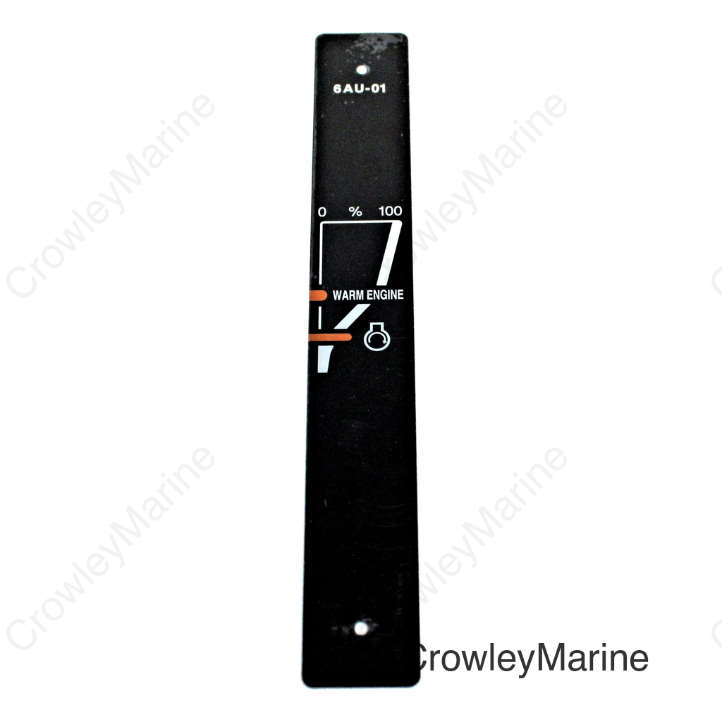 Throttle Indicator