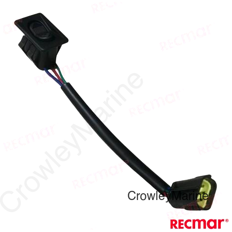 TRIM SWITCH