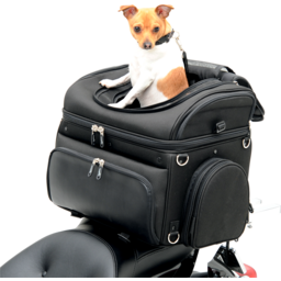 Pet Voyager thumbnail-6
