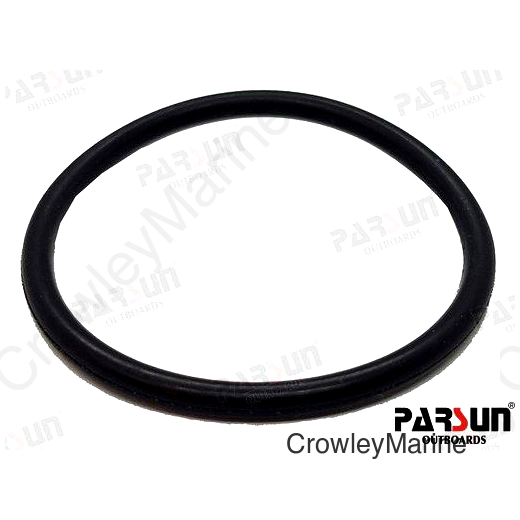 O-RING 24-031