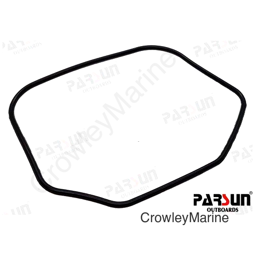 SEAL RING (PAF6-04000005)