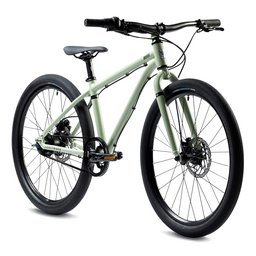 Belter 24 - Sage Green