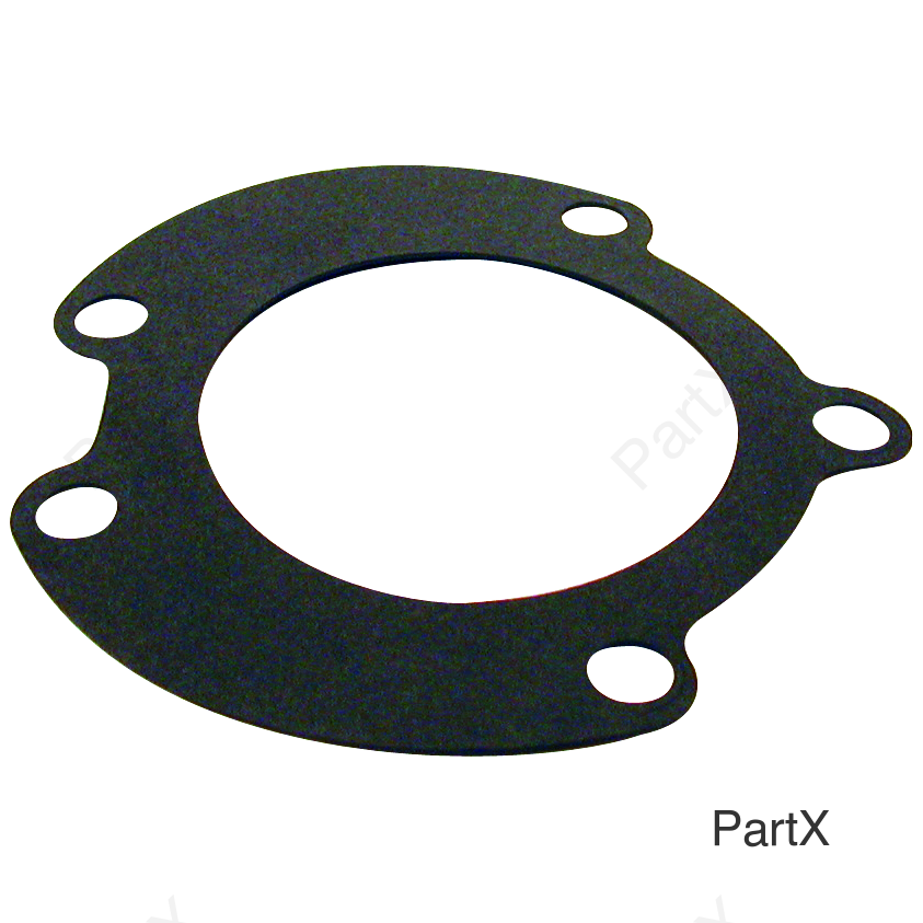 Gasket (32731)