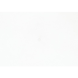 Carburetor Repair Kit thumbnail-3