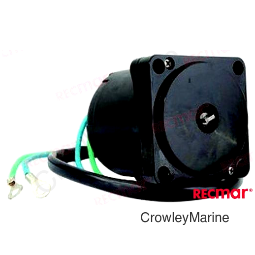 TRIM MOTOR ASSY (REC38100-96J00)