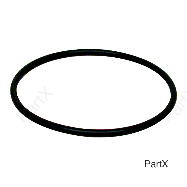 O-Ring (84205)