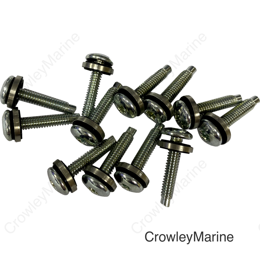 SCREW EFI MNT(1331) 12PK