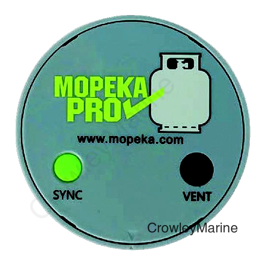 AP Products 0242002 Pro Check Magnetic Sensor For Steel Tanks
