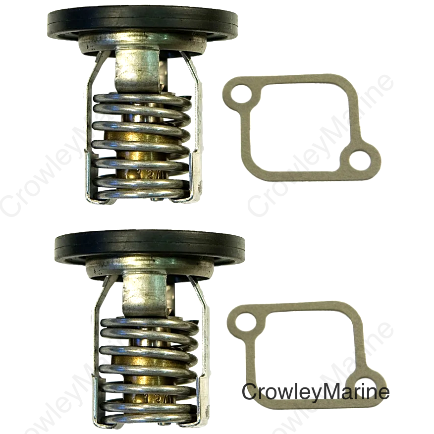 Thermostat Kit