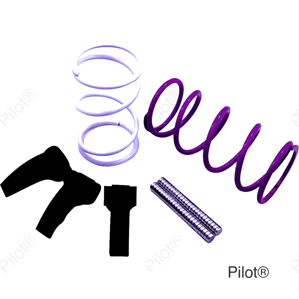 Clutch Kit - RZR XP 1000