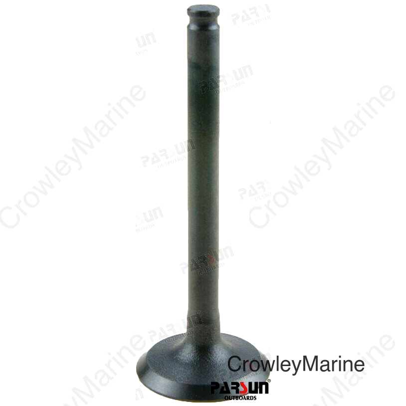 DOOR, EXHAUST (PAF4-04080006)