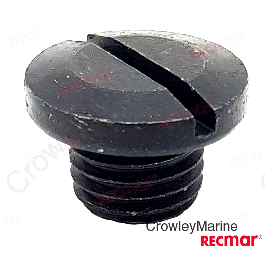 WATER PLUG DRAIN (REC55128-93J10)