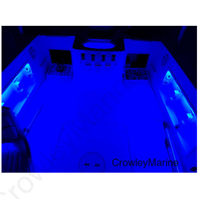 LX SALTWATER LED Dock LGHTNG (LEDBW-151-A-DP)