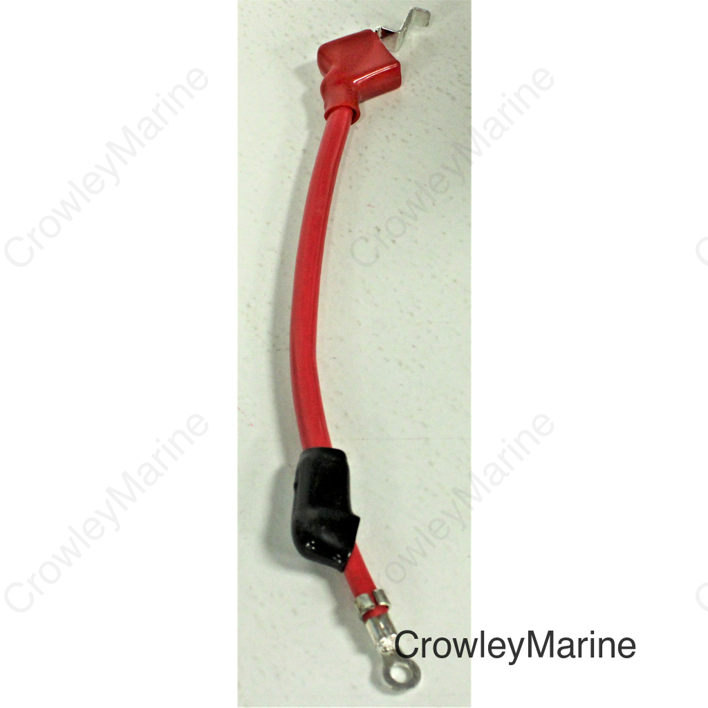 Plus Lead Wire