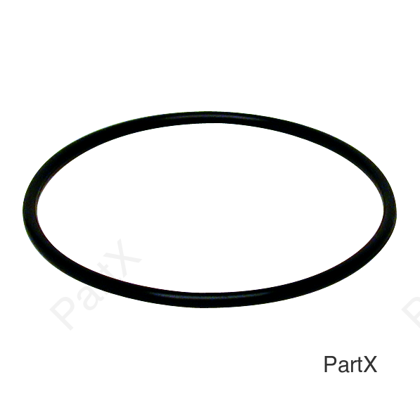 O-Ring (84305)