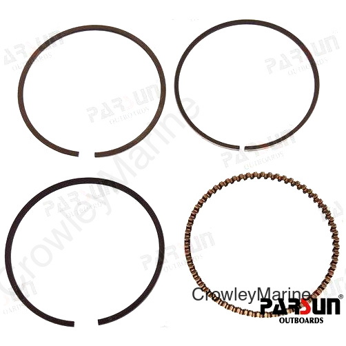 PISTON RING ASSY (PAF20-05020100)