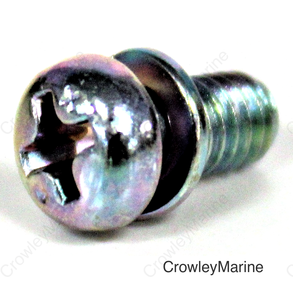 SCREW-WASHER (4X8)