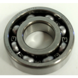 BEARING (6204)