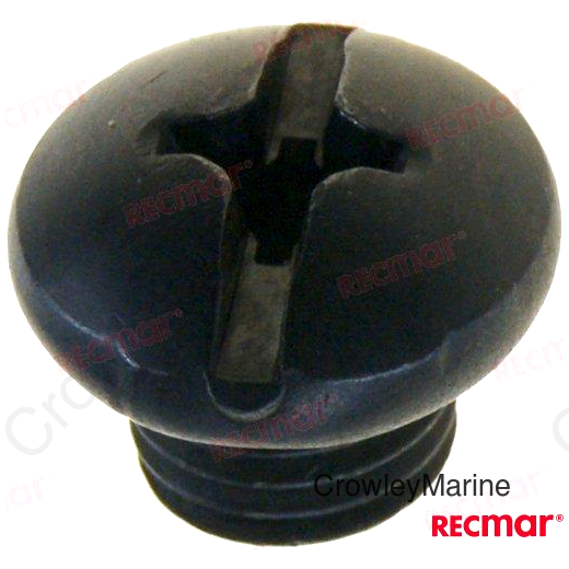 SCREW (REC09248-10008)