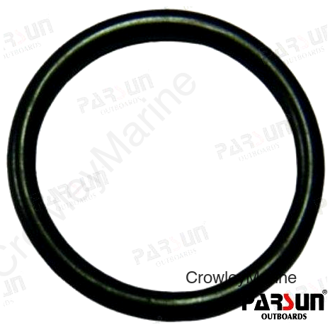 O-RING  B (PAF25-05050014)