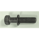 Bolt with Washer