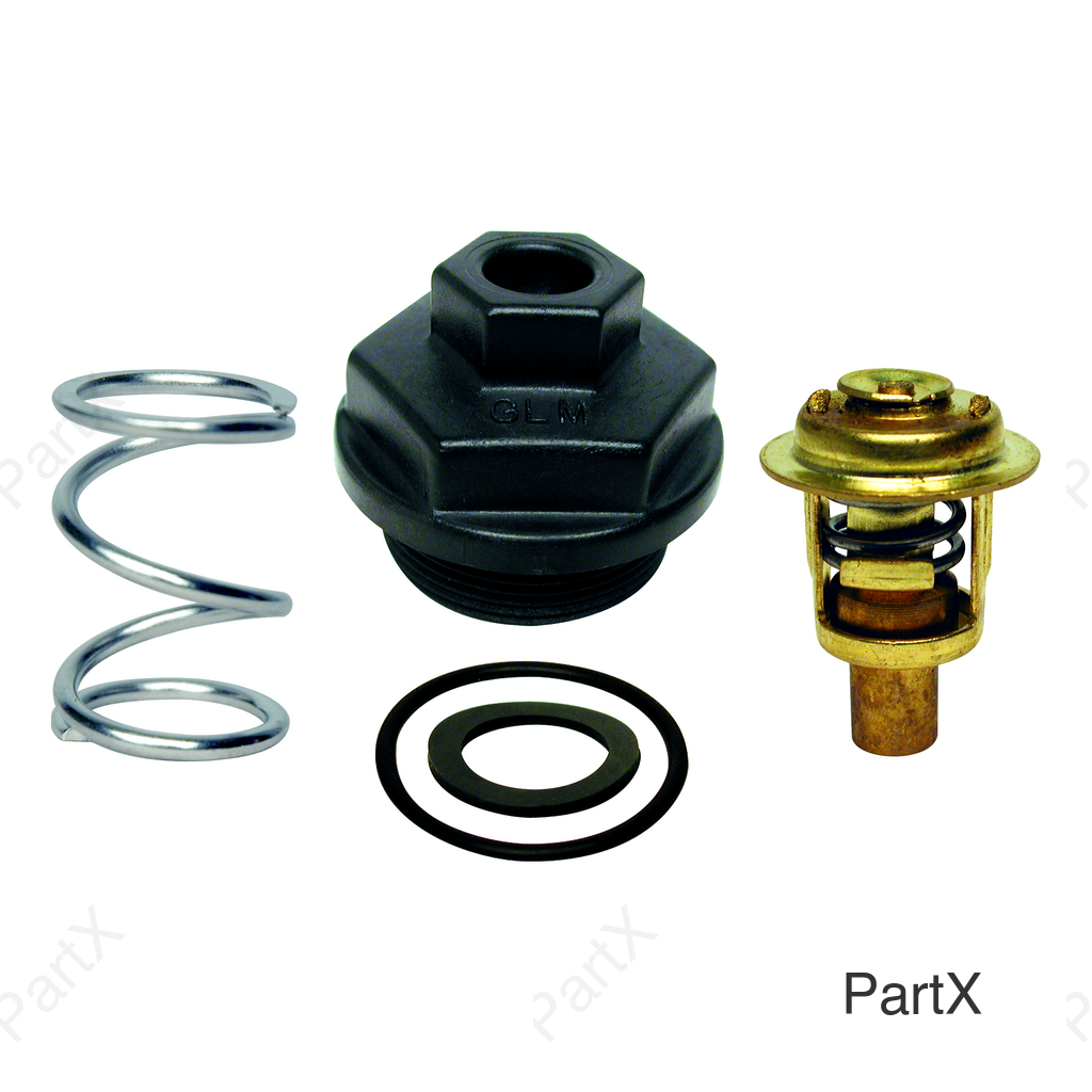 Thermostat Kit (13500)