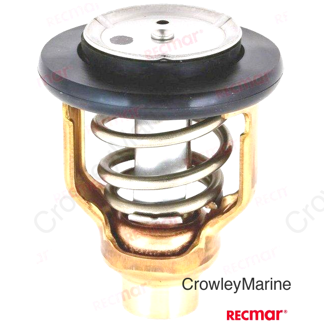 THERMOSTAT (REC6DA-12411-01)