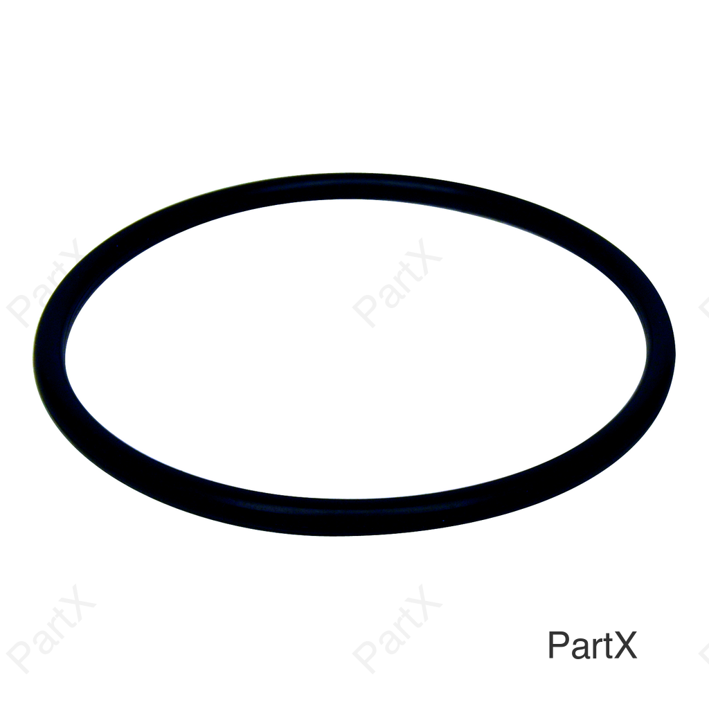 O-Ring (83480)