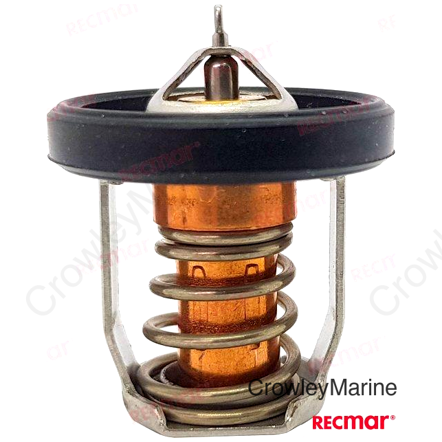 THERMOSTAT 60DGC (REC17670-94J01)