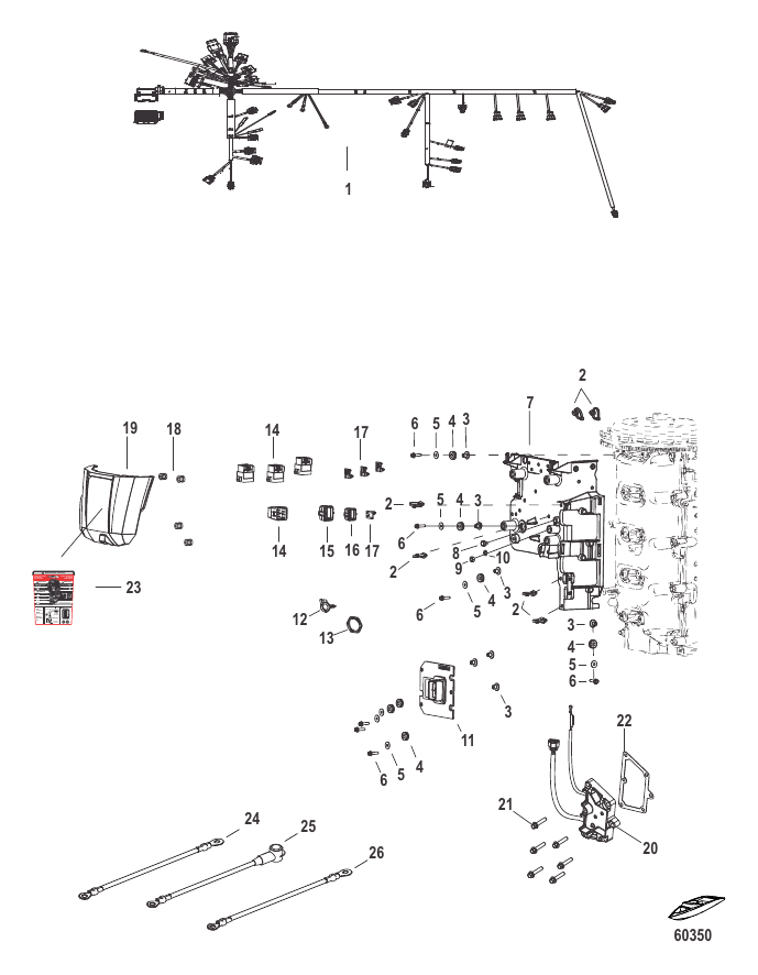Serial Range Outboard 115 EFI Pro XS (4-STROKE) - 2B225488 & Up - Electrical
