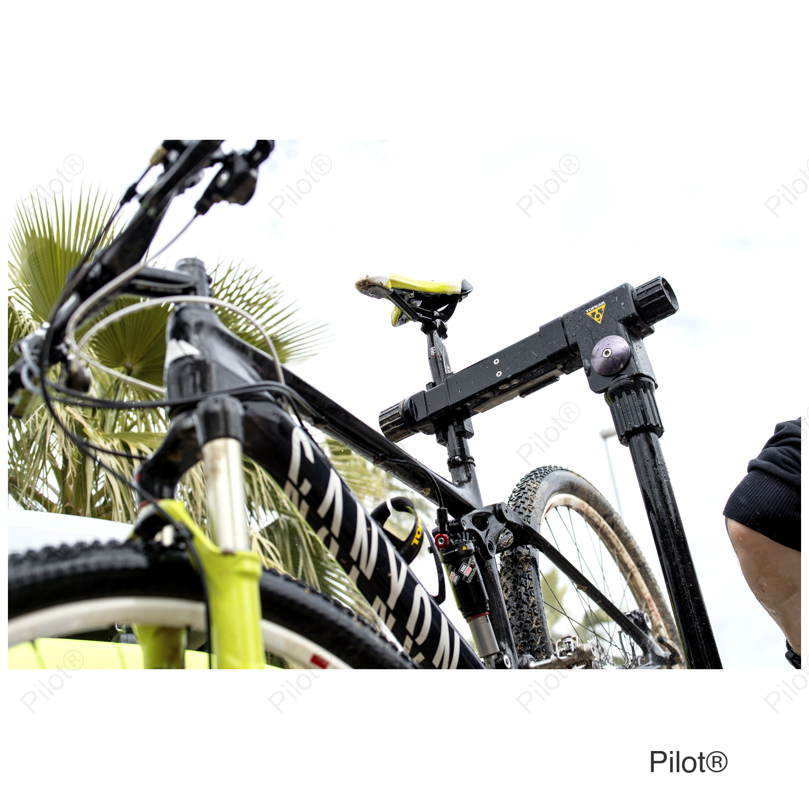 Prepstand™ Pro