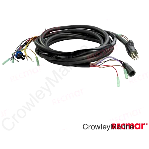 HARNESS REMONTE CONTROL NON TRIM 15FT