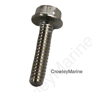 Screw