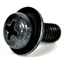 Screw With Washer