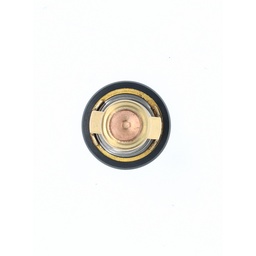 Thermostat thumbnail-5